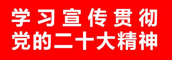 学习宣传贯彻党的二十大精神